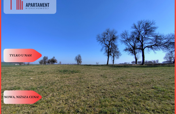 Działki w super cenie z decyzją o wz! Jastrzębiec