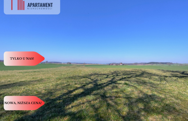 Działki w super cenie z decyzją o wz! Jastrzębiec