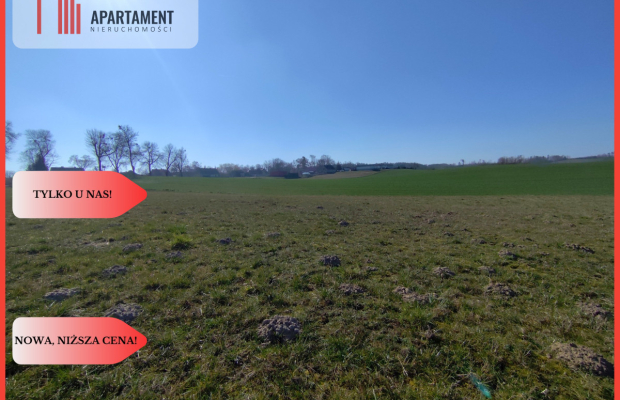 Działki w super cenie z decyzją o wz! Jastrzębiec