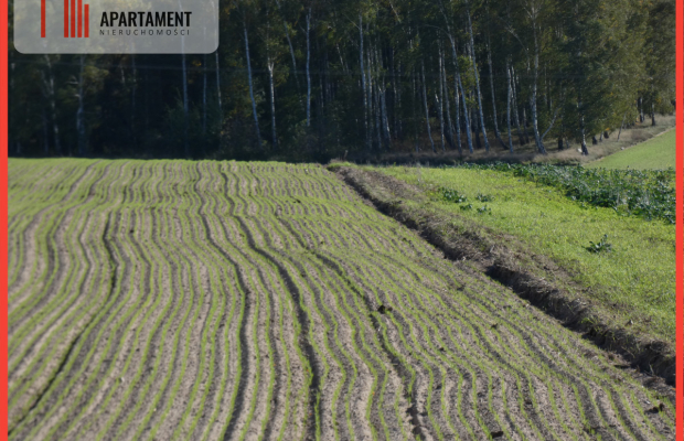 Działki z warunkami zabudowy blisko jezior i lasów