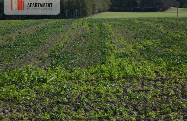 Działki z warunkami zabudowy blisko jezior i lasów