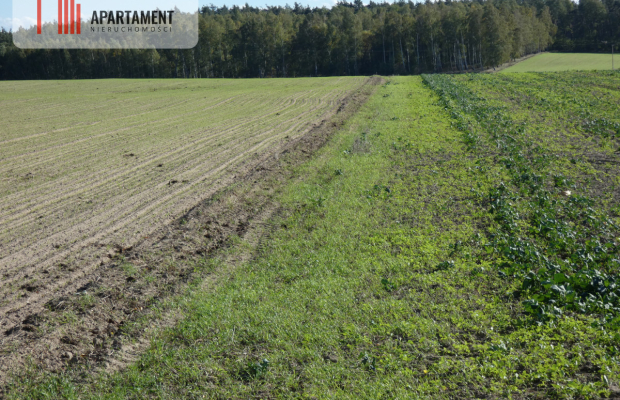 Działki z warunkami zabudowy blisko jezior i lasów