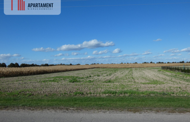 Działki z warunkami zabudowy blisko jezior i lasów
