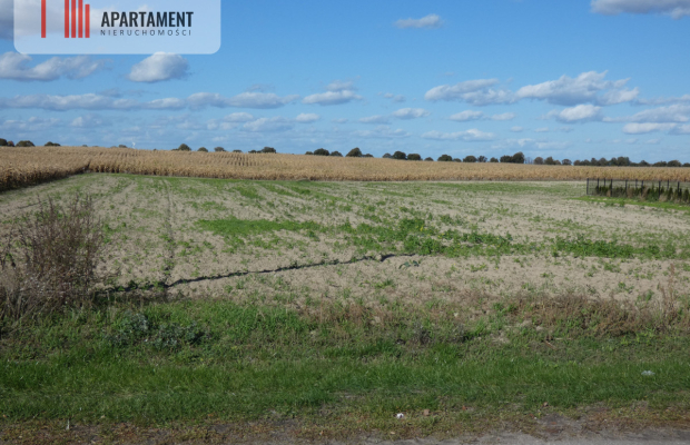 Działki z warunkami zabudowy blisko jezior i lasów