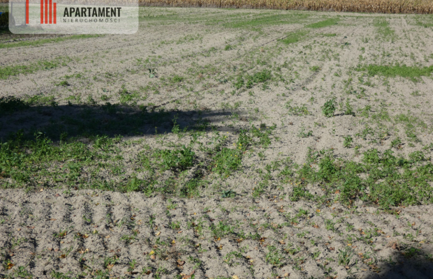 Działki z warunkami zabudowy blisko jezior i lasów