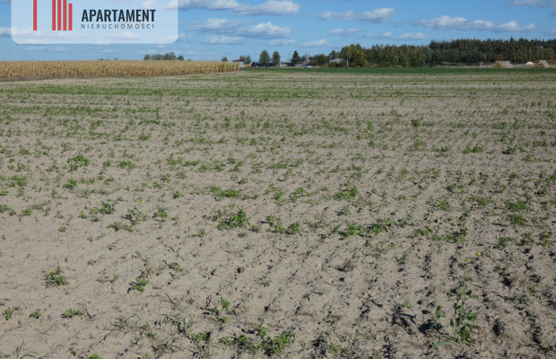 Działki z warunkami zabudowy blisko jezior i lasów