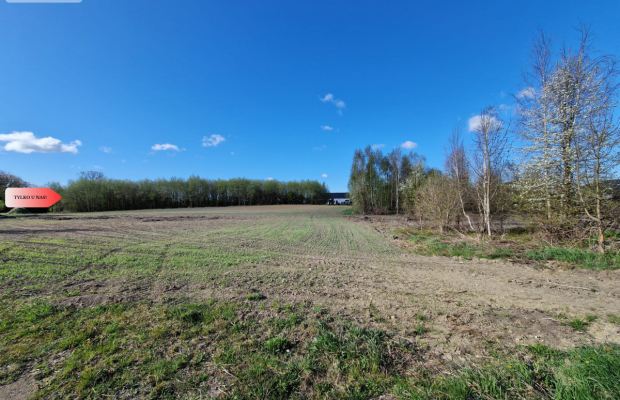 Działka w Zajezierzu 300 m od jeziora.