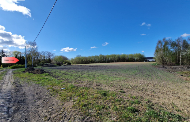 Działka w Zajezierzu 300 m od jeziora.