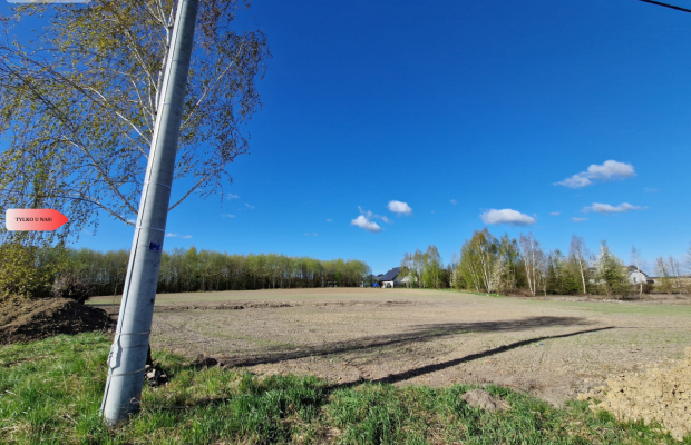 Działka w Zajezierzu 300 m od jeziora.