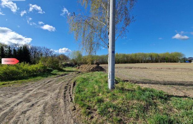 Działka w Zajezierzu 300 m od jeziora.