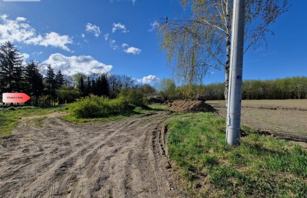 Działka w Zajezierzu 300 m od jeziora.