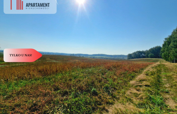 Tylko u Nas! 110 ha w jednym kawałku! Nowa cena!