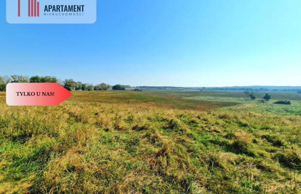 Tylko u Nas! 110 ha w jednym kawałku! Nowa cena!