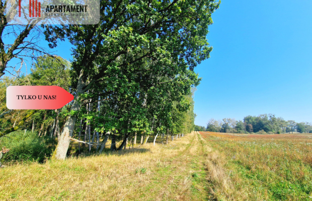 Tylko u Nas! 110 ha w jednym kawałku! Nowa cena!