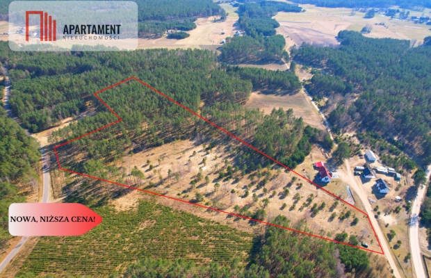 Działka z potencjałem inwestycyjnym na Kaszubach