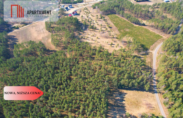 Działka z potencjałem inwestycyjnym na Kaszubach