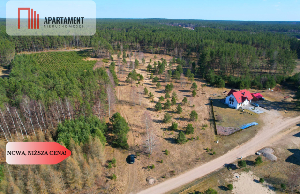 Działka z potencjałem inwestycyjnym na Kaszubach