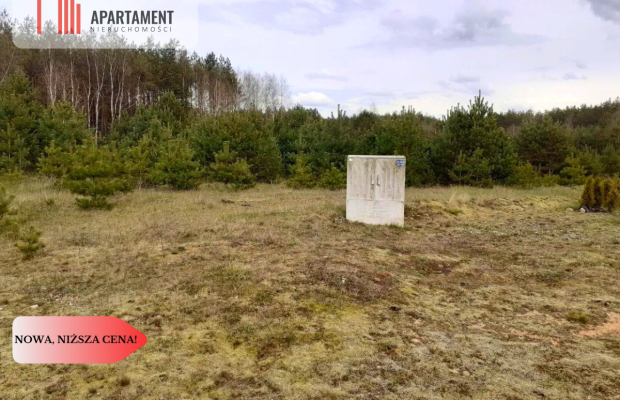 Działka z potencjałem inwestycyjnym na Kaszubach