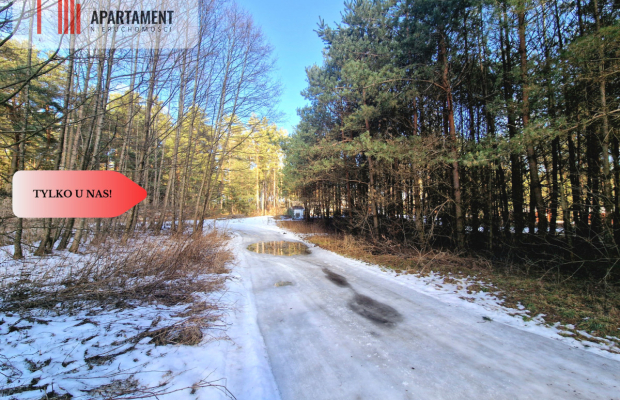 Zamieszkaj w sercu Borów! Tleń! Jezioro! MPZP