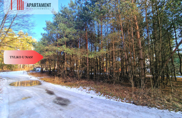 Zamieszkaj w sercu Borów! Tleń! Jezioro! MPZP