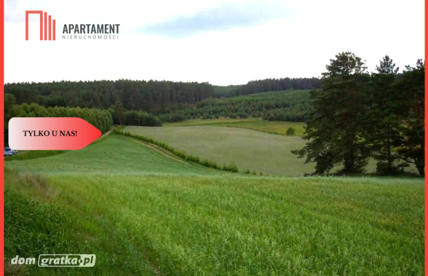 Tylko u Nas! Wyjątkowe działki z WZ-Tuszkowy