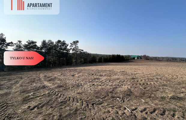 Tylko u Nas! Wyjątkowe działki z WZ-Tuszkowy