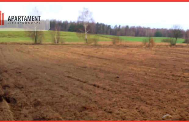 Działka w cichej i spokojnej okolicy