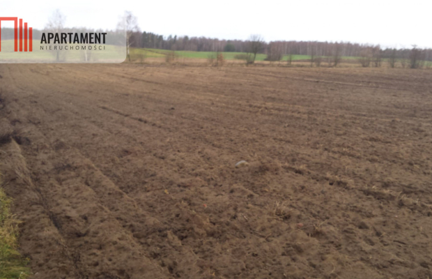 Działka w cichej i spokojnej okolicy