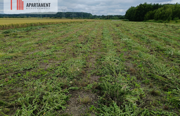 Działka budowlana 1031 m² – Kraśniewo!!!