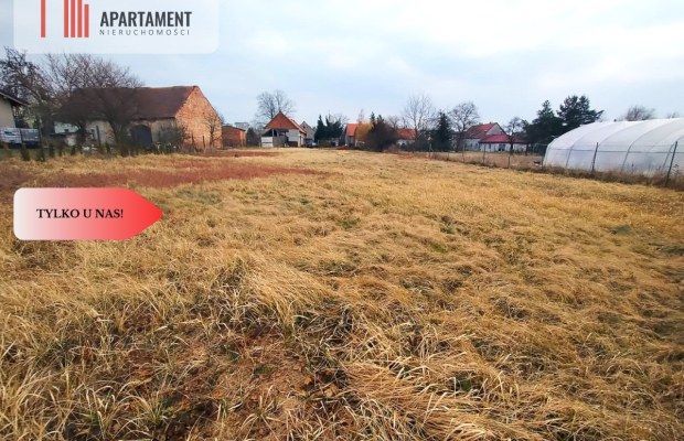 Duża działka w centrum Czernicy