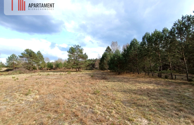 Tylko u nas! Działka-cisza, natura i potencjał!