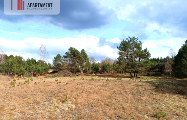 Tylko u nas! Działka-cisza, natura i potencjał!