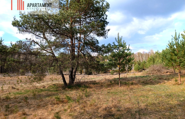 Tylko u nas! Działka-cisza, natura i potencjał!