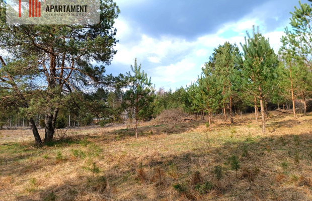 Tylko u nas! Działka-cisza, natura i potencjał!