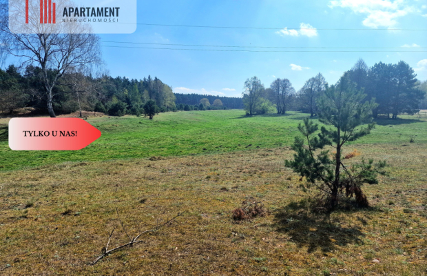 Działka w Szkocji! Głusza! Las! Rzeka!