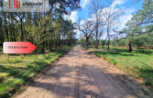 Działka w Szkocji! Głusza! Las! Rzeka!