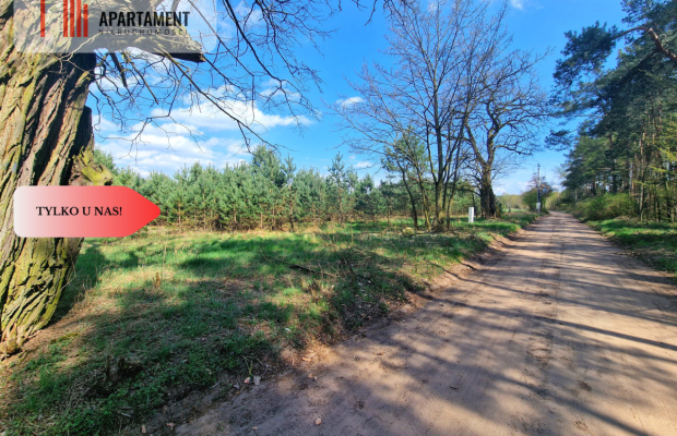 Działka w Szkocji! Głusza! Las! Rzeka!