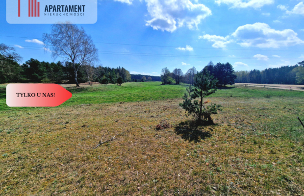 Działka w Szkocji! Głusza! Las! Rzeka!