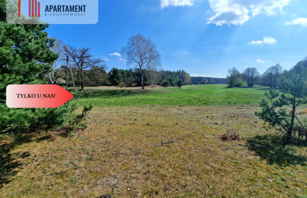 Działka w Szkocji! Głusza! Las! Rzeka!