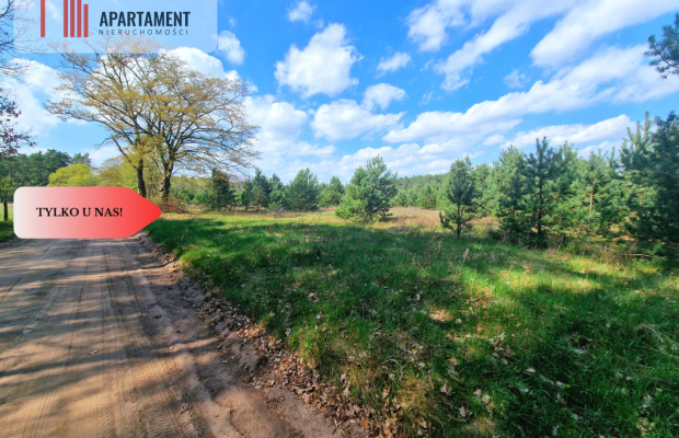 Działka w Szkocji! Głusza! Las! Rzeka!