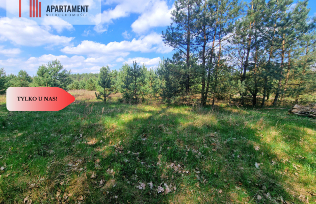 Działka w Szkocji! Głusza! Las! Rzeka!