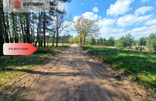 Działka w Szkocji! Głusza! Las! Rzeka!