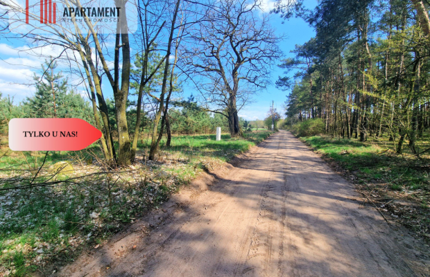 Działka w Szkocji! Głusza! Las! Rzeka!