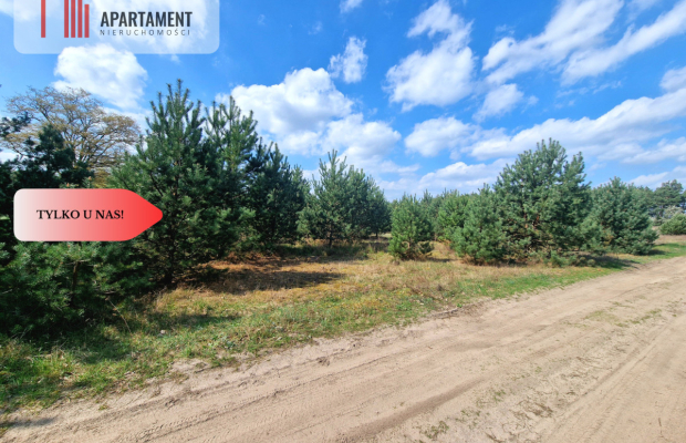 Działka w Szkocji! Głusza! Las! Rzeka!