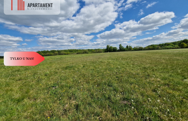 Łąki, w cichej okolicy. Okazyjna cena!