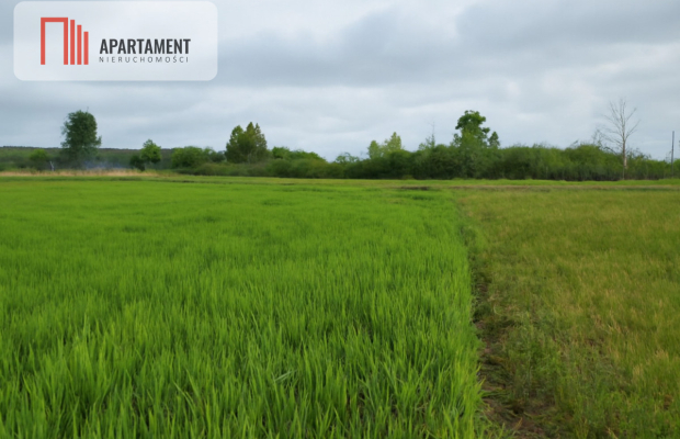 działka budowlana – Wola Kamieńska k. Iławy