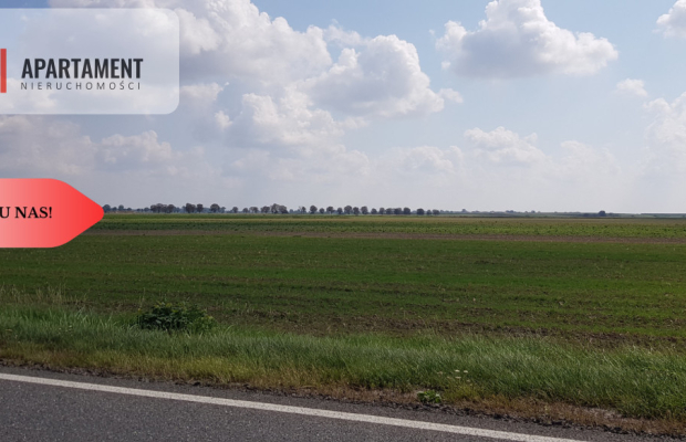 2 działki przy obwodnicy, z war. zabudowy. Usługi!