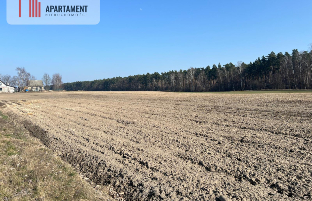 Działka budowlana w Ojrzanowie