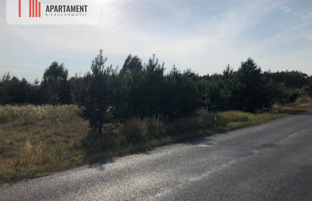 Tylko u nas ! Duża działka blisko lasu !