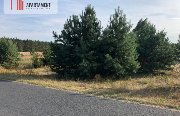 Tylko u nas ! Duża działka blisko lasu !